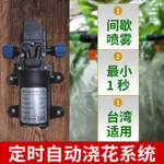 【優選百貨】免運 台灣現貨 110V 自動澆花器 電動噴霧器 秒定時 噴水器 澆水神器 澆花細霧 噴頭可調自動 淋花器 陽台