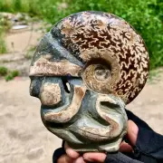 1.21LB Rare! Natural Tentacle Ammonite FossilSpecimen Shell Healing Madagascar