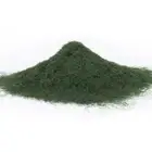 Grass Powder Yellow-Green Scenery Trees Accessories Artificial Diorama