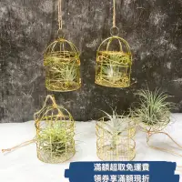 在飛比找蝦皮購物優惠-蒔/ 鏤空鳥籠 空鳳用具 空氣鳳梨底座 花器 底座 花架 支