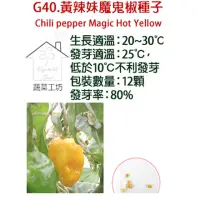 在飛比找momo購物網優惠-【蔬菜工坊】G40.黃辣妹魔鬼椒種子