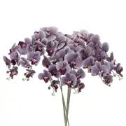 6Pcs 41" 9 Heads Artificial Orchid Stems Faux Phalaenopsis, Grey Purple