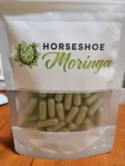 60x PREMIUM ORGANIC NATURAL MORINGA & GINGER CAPSULES – Moringa oleifera