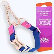 Jelly Waterproof Martingale Dog Collar, No Pull Nylon Collar with Alloy Metal Buckle & D-Ring for Outdoor Training and Walking, Anti Pull, Escape Free, One Time Adjustment - Blue & Rose, L