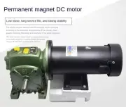 220V Permanent Magnet DC Geared Motor 500W Worm Gear Motor Speed Control