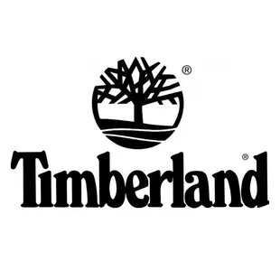 Timberland 天柏嵐 TDWGF2102601 城市個性多功能腕錶 / 磨砂灰 46mm