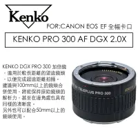 在飛比找樂天市場購物網優惠-【eYe攝影】KENKO PRO 300 DGX 2X 加倍