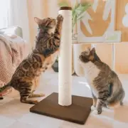 23.6” Tall Cat Scratching Post Kitten Scratcher Paper Rope Scratch Posts Tree...