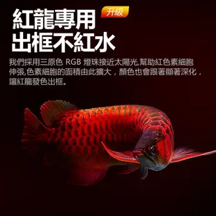 吉印龍魚專用燈i7Plus紅龍魚烤色發色燈金龍觀賞魚缸增艷rgb專業