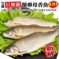 在飛比找momo購物網優惠-【三頓飯】宜蘭巨無霸3XL爆卵母香魚(2盒_3-5尾/920