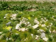 Model Scene Grass Mat w/Calc Stones - Early Summer Vol.2 (Size: 18 x 28 cm)