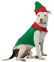 Elf Pet Costume