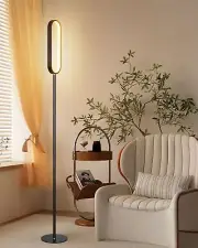 Oval LED Floor Lamp for Living Room, Integrated LED Corner Floor Lamp, Modern...