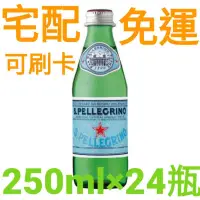 在飛比找蝦皮購物優惠-宅配免運 聖沛黎洛 天然氣泡礦泉水 玻璃瓶裝(250mlx2