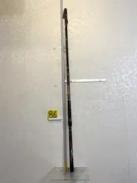 在飛比找Yahoo!奇摩拍賣優惠-EVO チヌ SPECIAL 極黑鯛 5號 10-12尺 磯