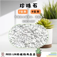 在飛比找蝦皮購物優惠-現貨💜珍珠石(真珠石)Perlite 1公升、4公升 矽酸鋁