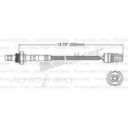 PAT Oxygen/Lambda Sensor Post Catalytic Converter - EGO-367