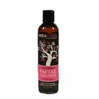 Black Soap & Shea Butter Facial Cleanser 8 oz