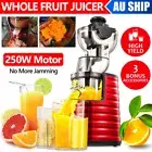 Professional Cold Press Whole Fruit Slow Juicer Wide Mouth Vegetable Processor