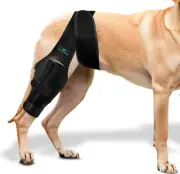 Dog Leg Braces for Back Leg - Dog Knee Brace for Support with Cruciate Ligament