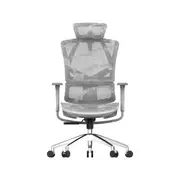 Sihoo M90C Ergnonomic Office Chair with Dynamic Lumbar Support (Grey Frame with Grey Mesh)