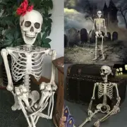 1pc 40cm Size Halloween Human Body Skeleton Oversized Poseable Decor Party Prop