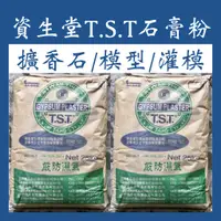 在飛比找蝦皮購物優惠-資生堂 TST 石膏粉 擴香石 Gypsum 模型 灌模 翻