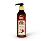 Red Onion Hair Shampoo With Caffeine Aloe vera Curry Leaf Indian Alkanet Root