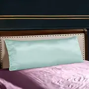 THXSILK 25 Momme Mulberry Silk Body Pillow Cover Pillowcase with Hidden Zipper - Hypoallergenic&Breathable Pure Natural Silk on Both Sides (20x54 inch, Light Blue)