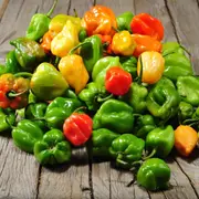 Chilli - Habanero Mixed seeds