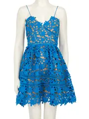 Blue Azealea Floral Mini Dress