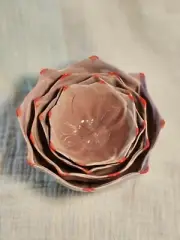 Mustardseed And Moonshine South Africa Lotus Flower Ramekin Small Nesting Bowls