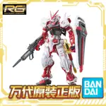 [正版]萬代 RG 19 1/144 ASTRAY RED 紅色異端 紅色迷惘 迷茫 高達