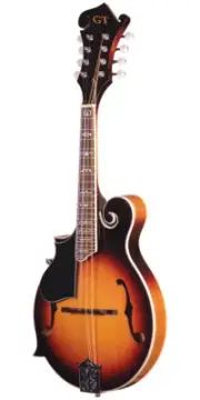 Gold Tone Left Hand F-Style Mandolin w/ Gig Bag