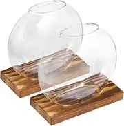 ifundom 2 Sets Clear Glass Planter Vases with Eucalyptus Base Stylish Hydroponic Terrarium for Home Office Garden Wedding Decor Small Space Friendly Design Elegant Natural Aesthetic