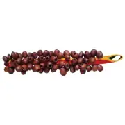 Seed Shaker (Juju Chacha Pangi Pala) Hand bell Percussion Accessories