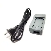 Battery Charger For Sony DCR-SX85 DEV-3 DEV-30 DEV-5 DEV-50 DEV-50V FDR-AX100