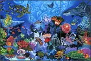 Undersea Tile Mural Agudelo Fish Sea Life Ceramic Backsplash FAA023
