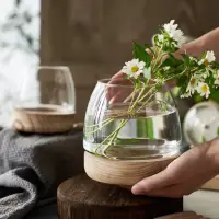 在飛比找蝦皮購物優惠-Dreamerhosue 日式木託透明玻璃花瓶綠蘿水培植物生