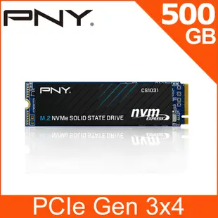 PNY CS1031 500GB M2.2280 PCIe SSD