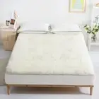 Aus Made Fully Fitted Reversible Wool Woollen Underlay Underblanket Topper Pa...