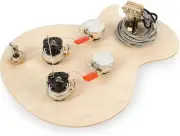 Golden Age Pre-wired Harness for Gibson Les Paul with Push-pull Pots, with...
