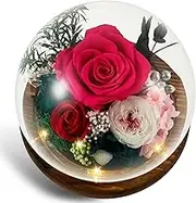 Preserved Flowers Handmade Real Roses in Glass with LED Light, Battery Powered Flower in Glass Dome Charming Rose Dome Decorative Preserved Rose for Women Mom Grandma(Rose red)