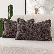 Foindtower Set of 2 Curly Teddy Wool Pillow Covers Decorative Boucle Textured Lumbar Throw Pillow Faux Fur Pillowcases Sheepskin Cushion Case for Sofa Bedroom Car 12"x20" Chocolate
