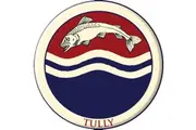 Game of Thrones - Tully House Sigil Patch