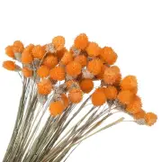 60 Pcs 16 Inch Dried Flowers for Vase Mini Pine Ball Flowers Orange