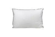 Odyssey Living Silk Blend Pillow