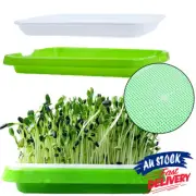 Seed Sprouter Trays Basket Germination seedling Starter Tray Plant Grow