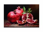 Pomegranate Canvas Canvas Print