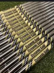 NEW True Temper Dynamic Gold 120 Tour Issue Iron Shaft Set - .355 Taper Tip